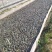牛蛙肉基地供应一手货源厂家直供量大从优诚信经营
