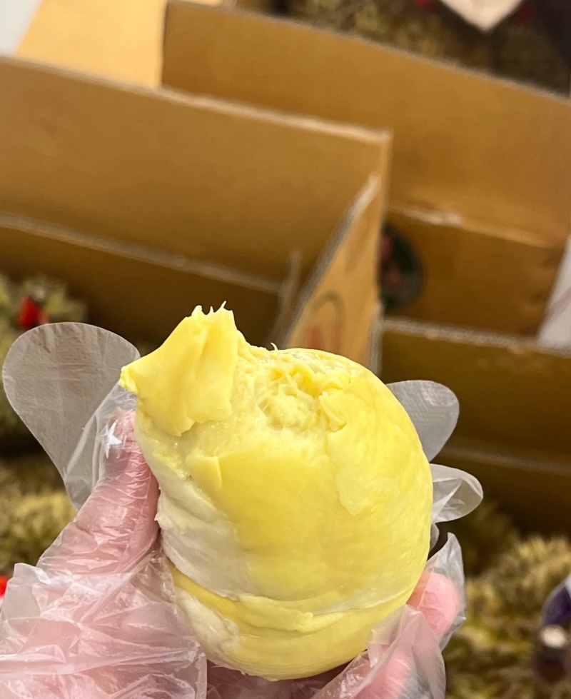 金枕榴莲一手批发价格