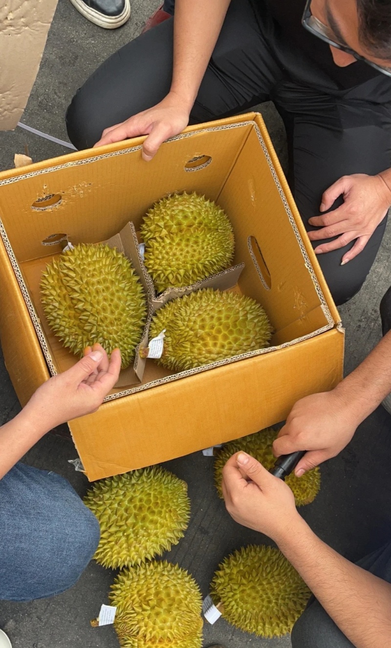 金枕榴莲一手批发价格
