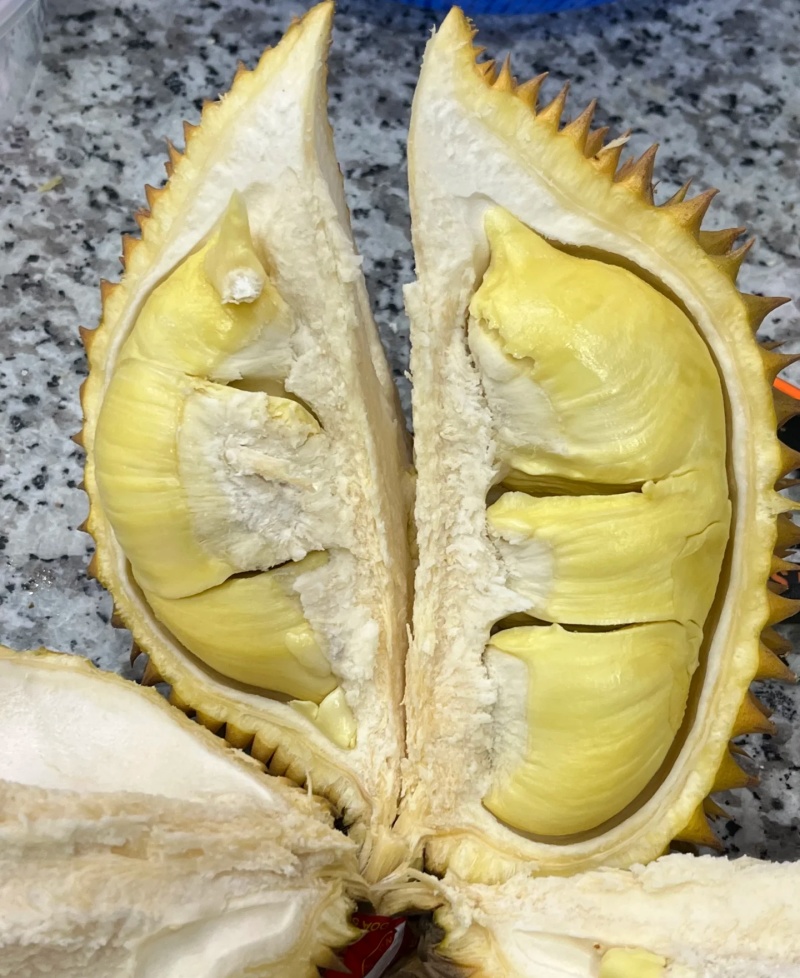 金枕榴莲一手批发价格