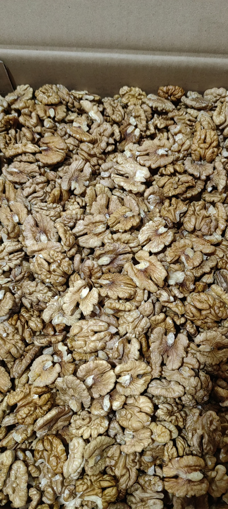 云南泡核桃仁系列全品类都有货