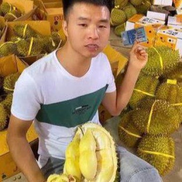 金枕榴莲一手批发价格