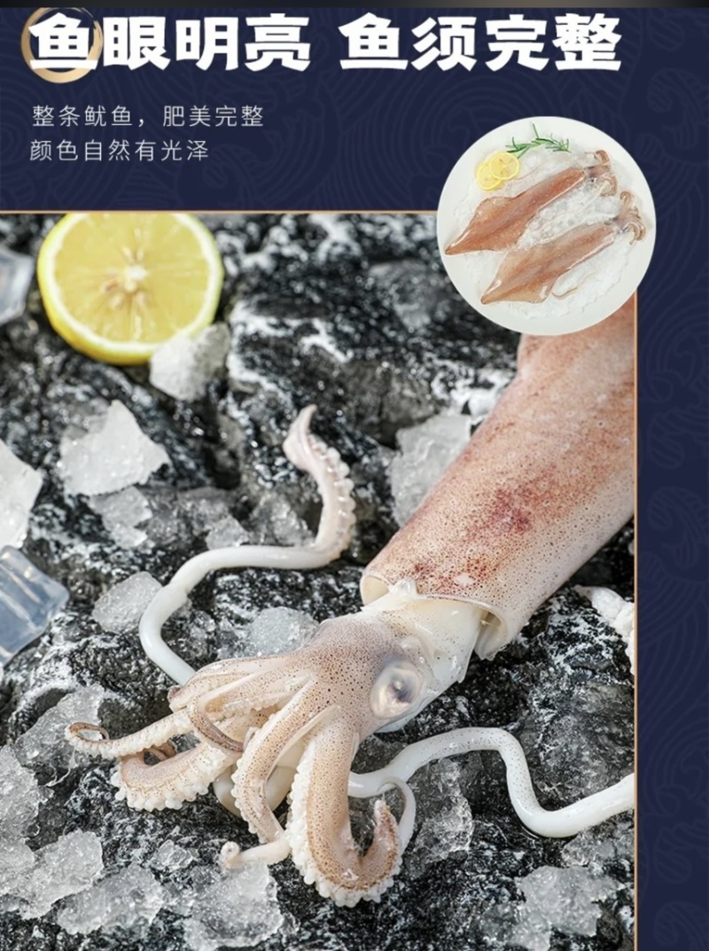 台湾海峡海钓大鱿鱼筒量大质优价格优惠欢迎各大老板采购