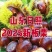 《精选》山东2025新板栗基地直发保质保量对接全国一条龙