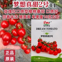 梦想真甜2号樱桃番茄种子玫瑰红口感型水果番茄种子糖度高