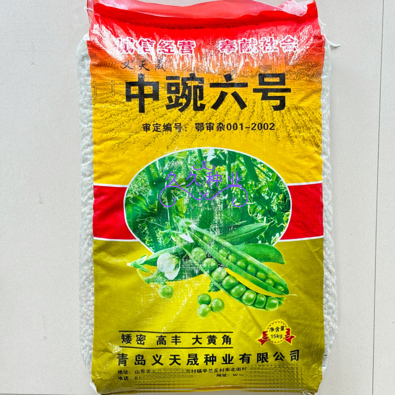 中豌6号豌豆种子大荚超甜脆软糯多汁秋季易播南北方高产豌豆