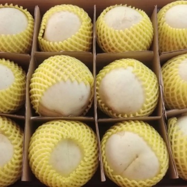 安徽冬桃7两每个