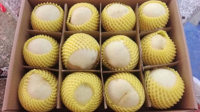 安徽冬桃7两每个