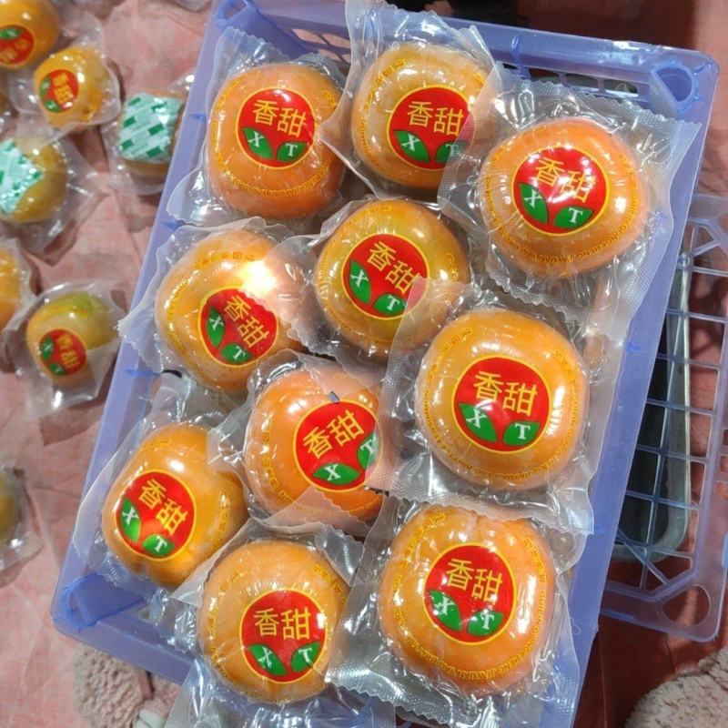大量供应甜脆柿，电商脆柿，出口果。