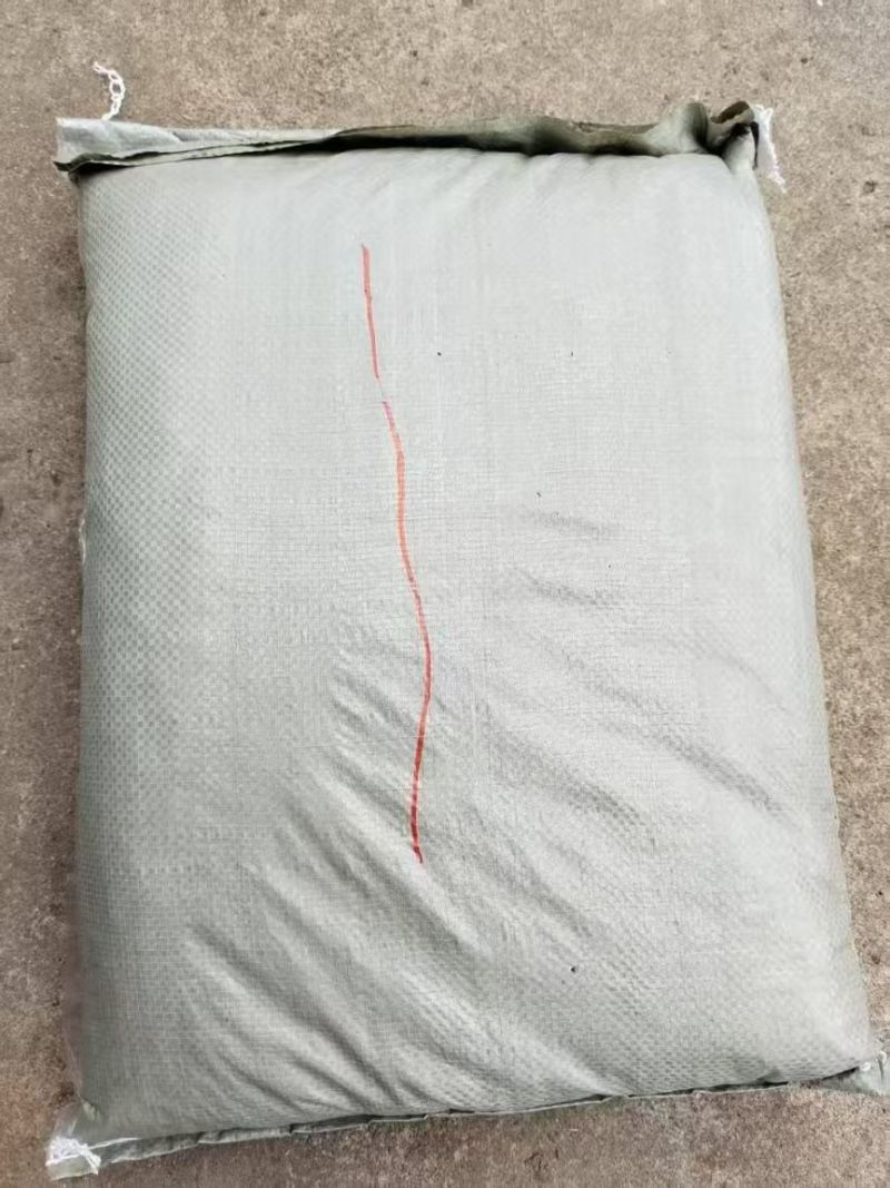 急冻黑水虻批发