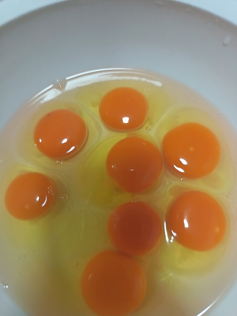 笨鸡蛋
