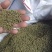 吴茱萸／茱萸／江西中花吴茱萸