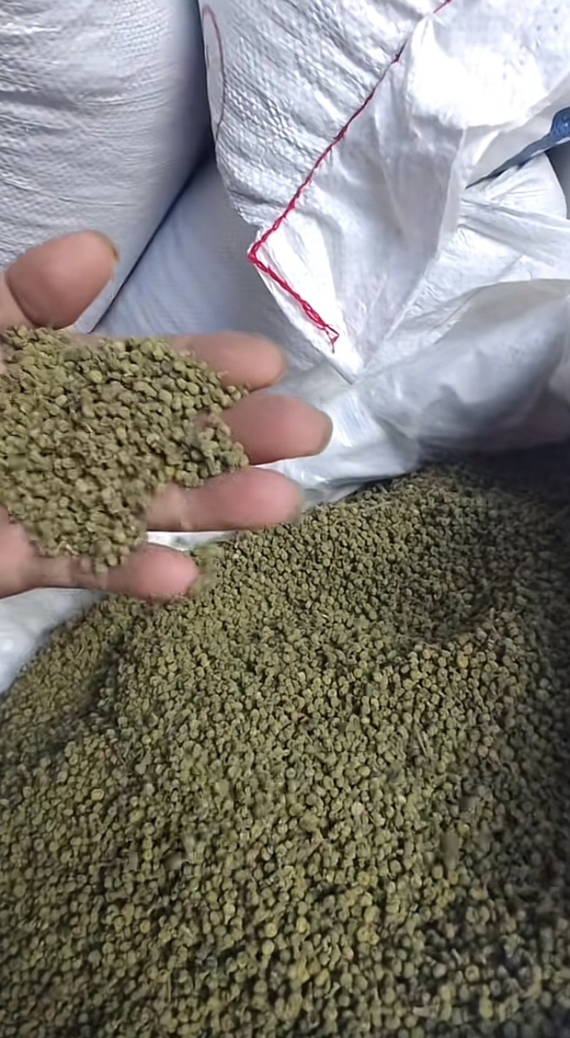 吴茱萸／茱萸／江西中花吴茱萸