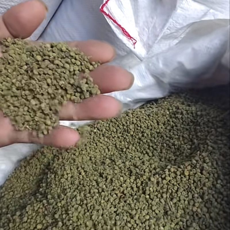 吴茱萸／茱萸／江西中花吴茱萸