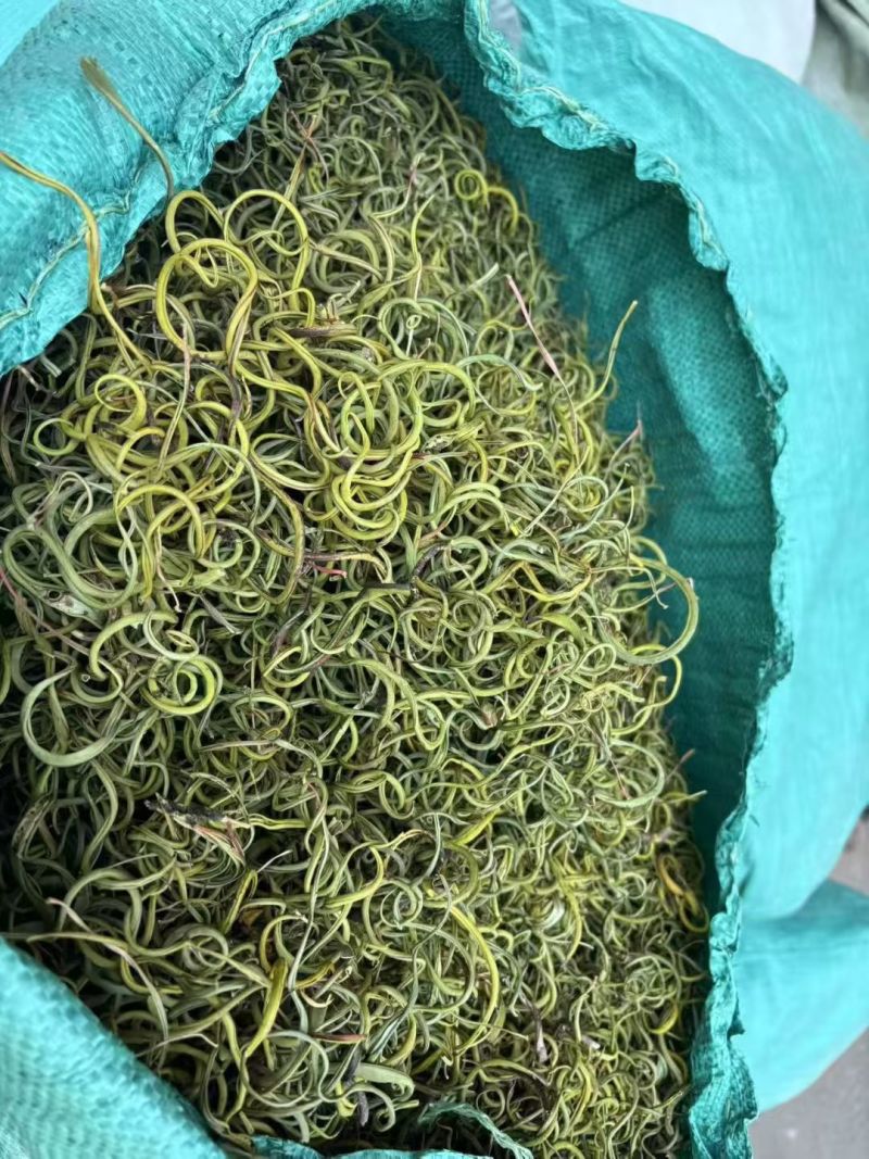 优质化石草肾精茶大叶化石草中叶小叶规格齐全无硫大货