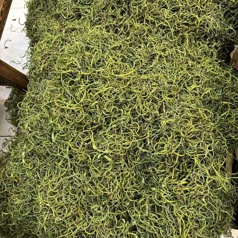 优质化石草肾精茶大叶化石草中叶小叶规格齐全无硫大货