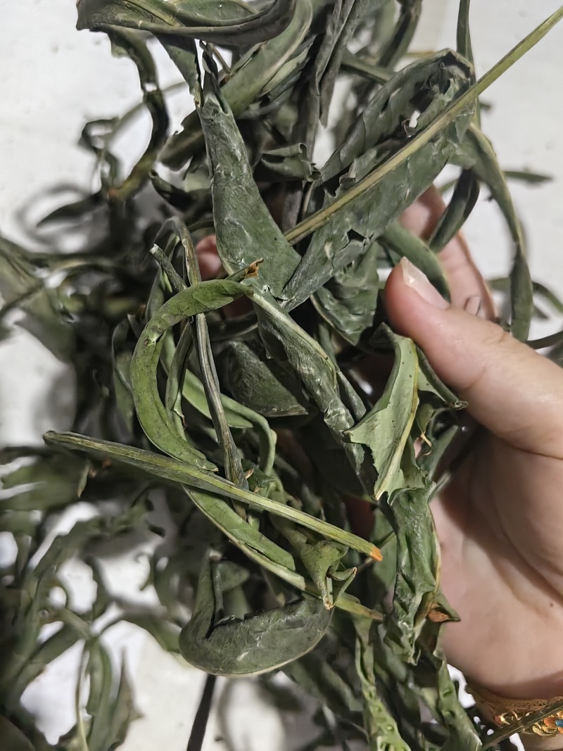 优质化石草肾精茶大叶化石草中叶小叶规格齐全无硫大货