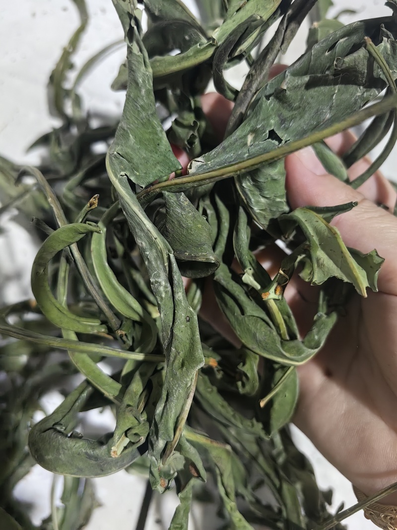 优质化石草肾精茶大叶化石草中叶小叶规格齐全无硫大货