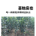 果园直发苹果树苗早熟华硕嘎啦富农二号矮化乔化包成活率