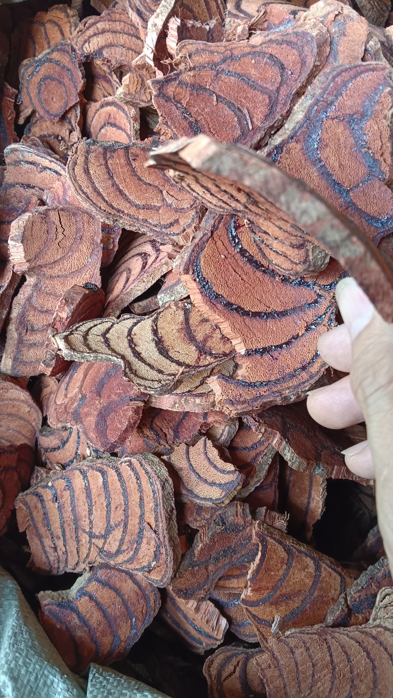 中药材（鸡血藤），品质保证，欢迎来电洽谈