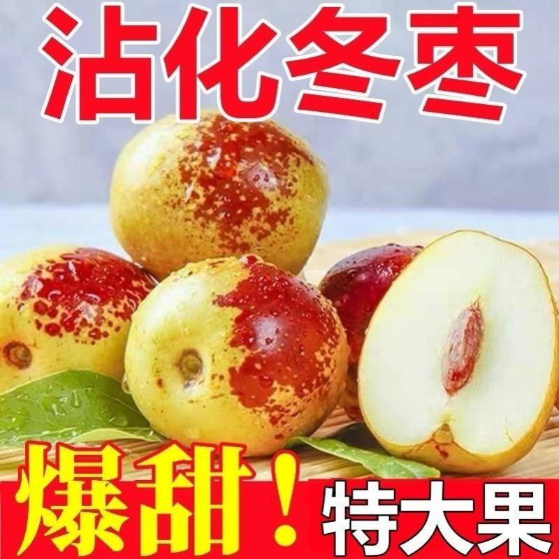 沾化冬枣大量现货供应支持电商一件代发市场档口社区团购