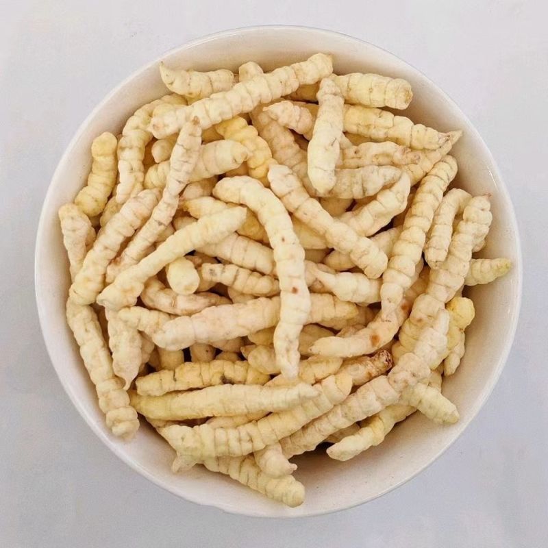 中药材草石蚕干货土冬虫草白虫草地蚕新货草石蚕500