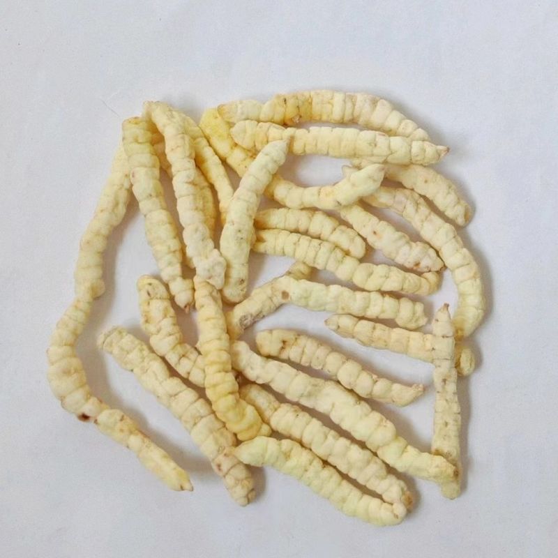 中药材草石蚕干货土冬虫草白虫草地蚕新货草石蚕500