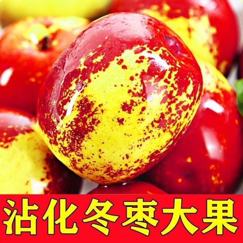 沾化冬枣大量现货供应支持电商一件代发市场档口社区团购