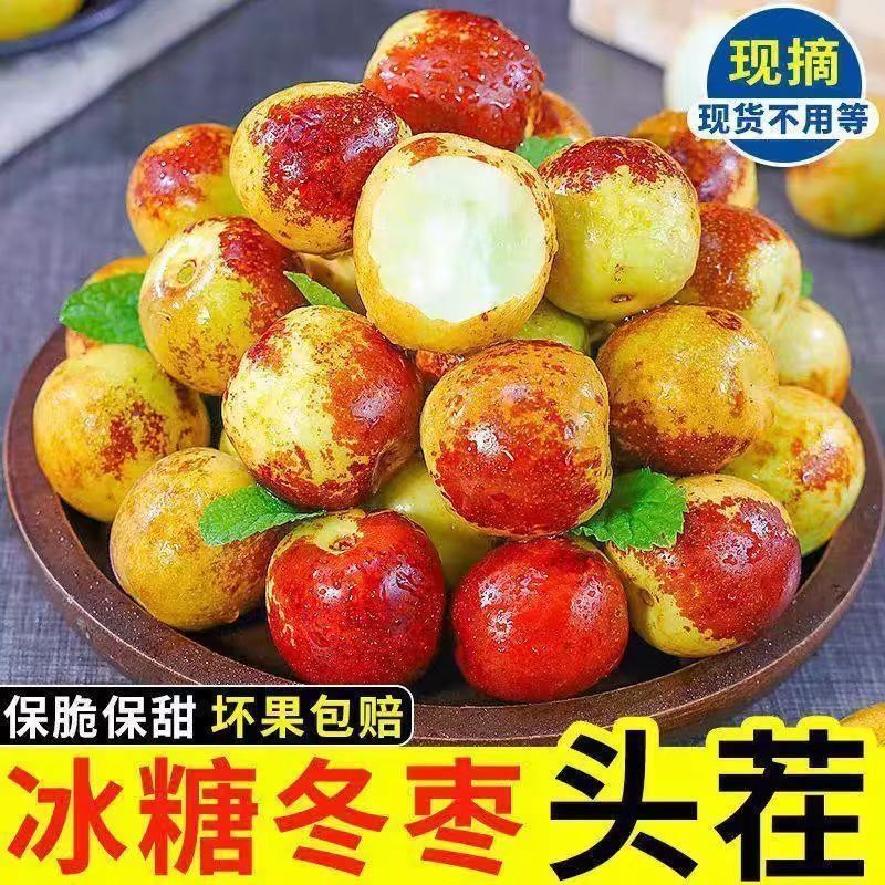 沾化冬枣大量现货供应支持电商一件代发市场档口社区团购