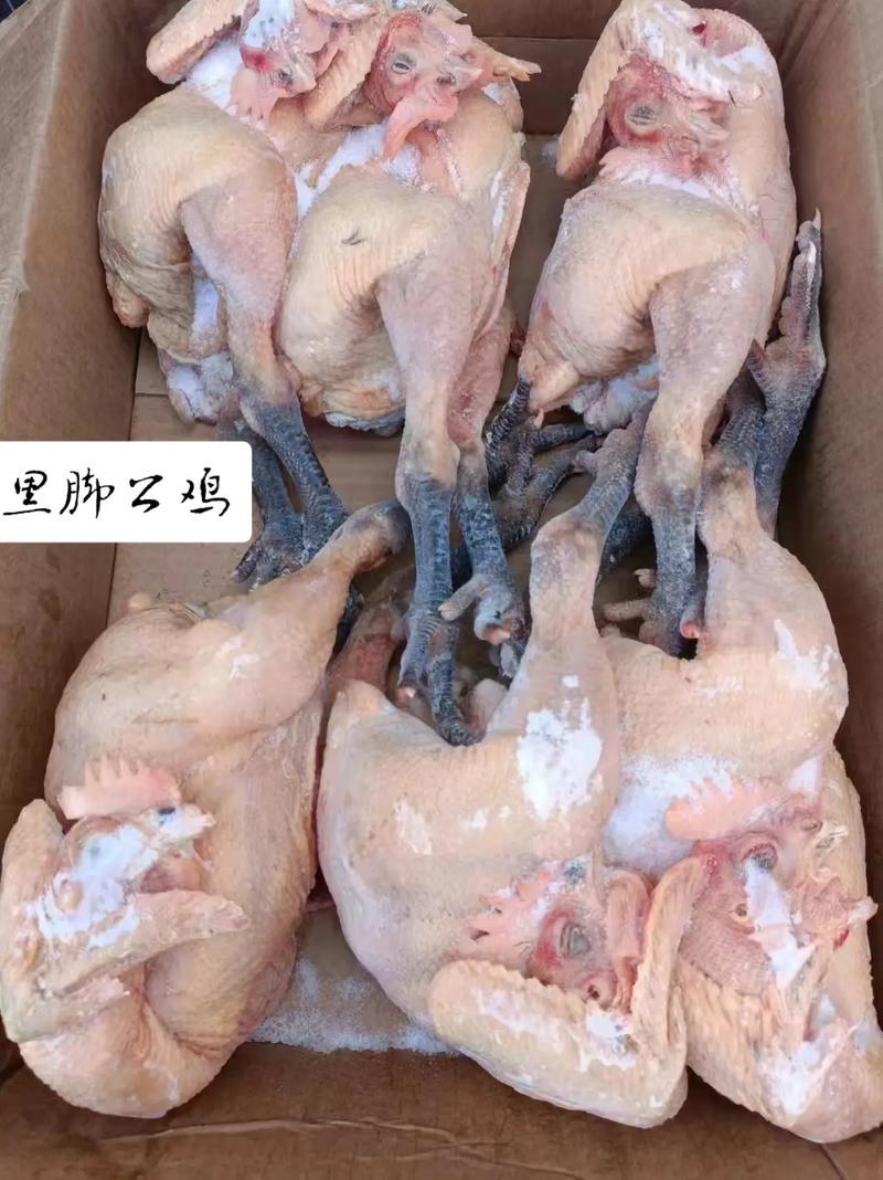 散养黑腿笨公鸡，肉质紧实，多种规格可选择