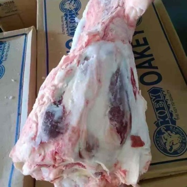 澳洲558日邦谷饲带骨后腱
