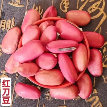红刀豆干货刀豆农家刀豆子新货红皮刀豆中药材正品广西