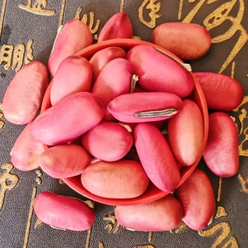 红刀豆干货刀豆农家刀豆子新货红皮刀豆中药材正品广西
