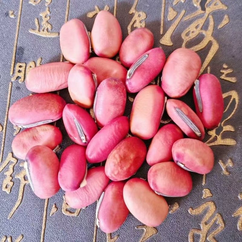 红刀豆干货刀豆农家刀豆子新货红皮刀豆中药材正品广西