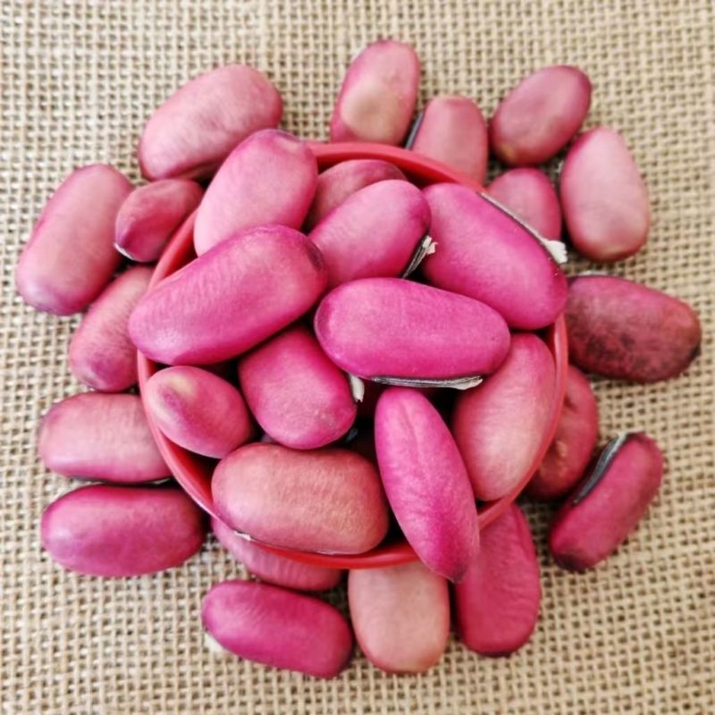 红刀豆干货刀豆农家刀豆子新货红皮刀豆中药材正品广西