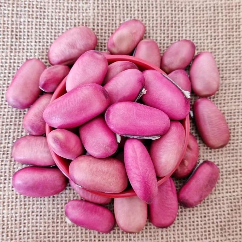红刀豆干货刀豆农家刀豆子新货红皮刀豆中药材正品广西