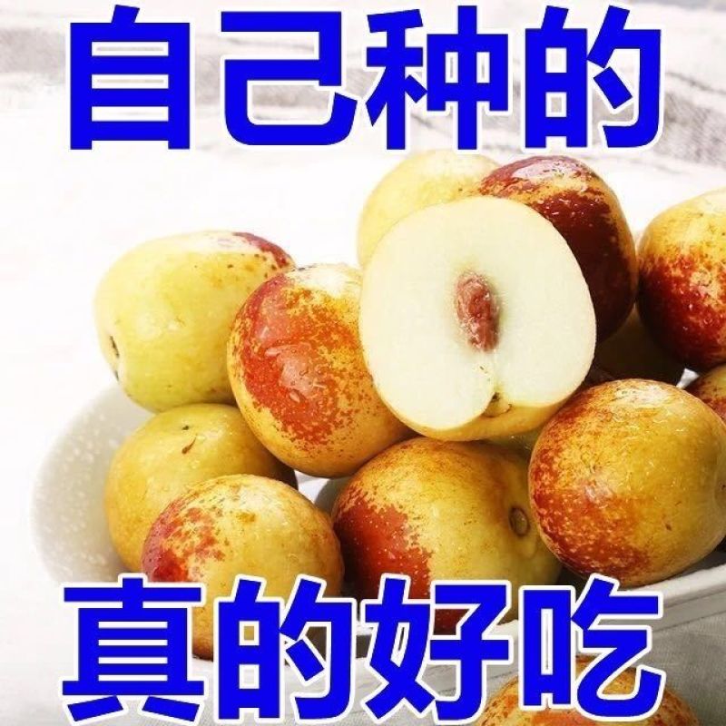 沾化冬枣二代大量现货供应专业对接电商一件代发抖音多多快手