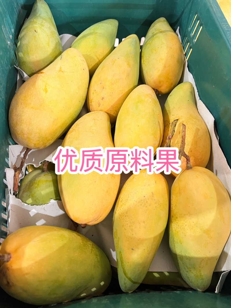 纯手工现烤芒果干匠心.手工～配料只有阳光和鲜芒果