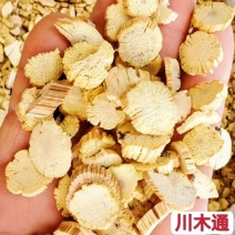 木通中药材川木通正宗木通片新货晒干无硫***木通批