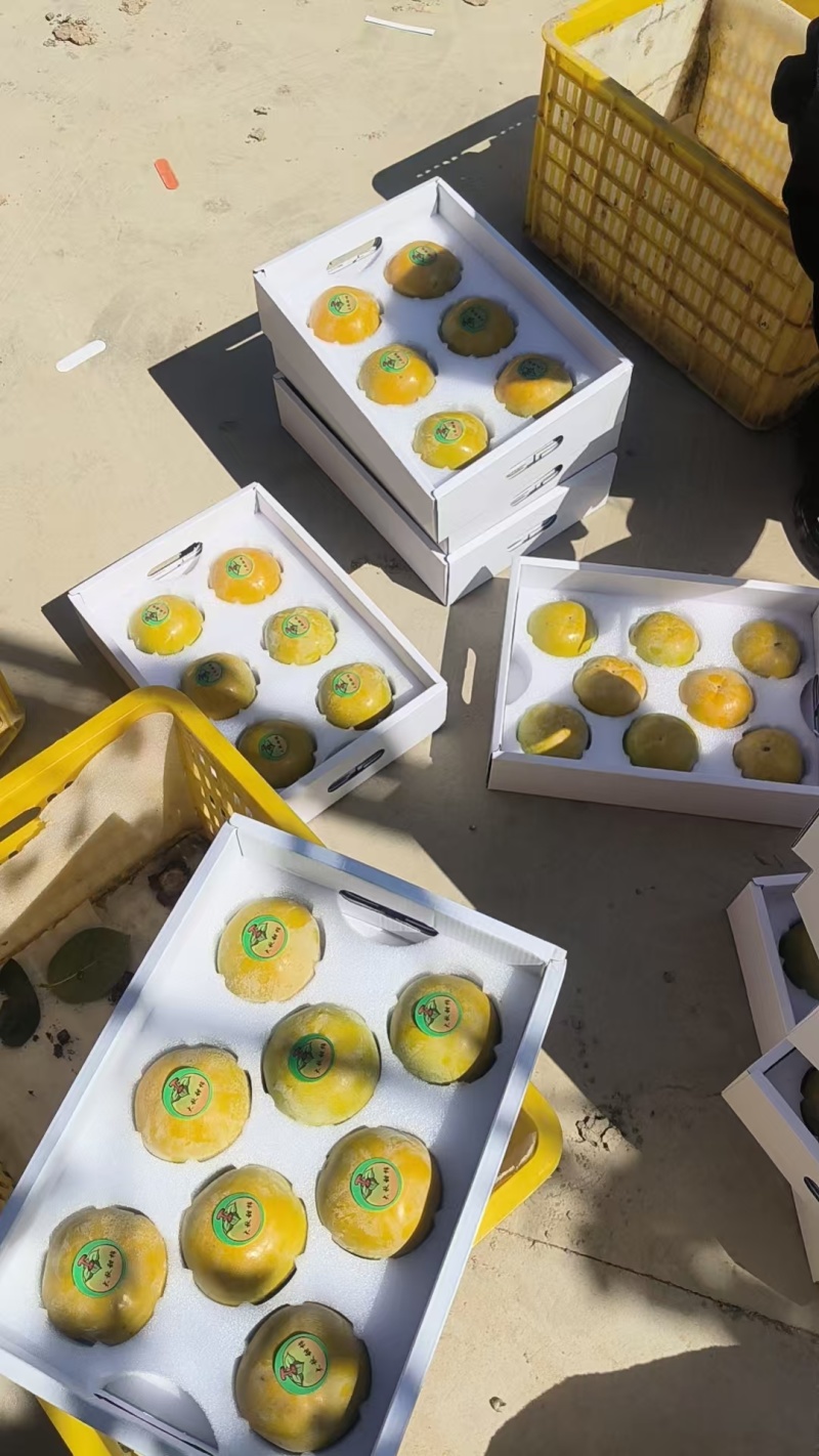 太秋甜柿，入口即化甜而不腻