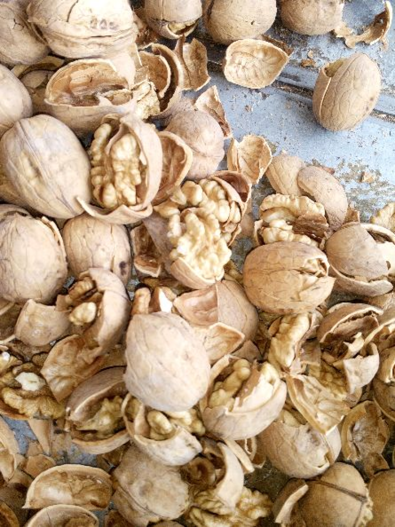 低价批发薄皮新疆185核桃仁尖白尖普规格齐全，新鲜饱满