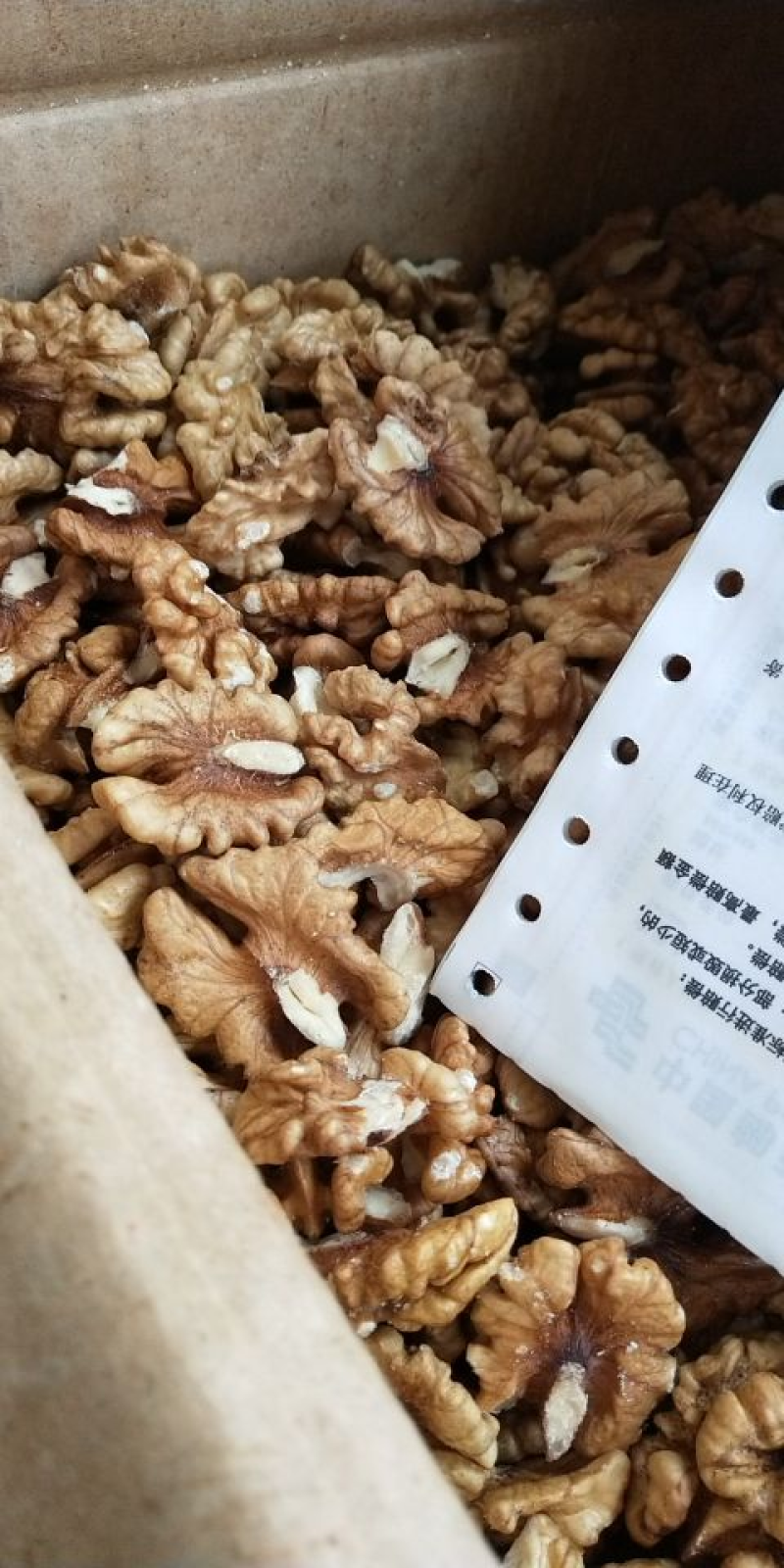 低价批发薄皮新疆185核桃仁尖白尖普规格齐全，新鲜饱满