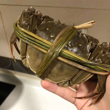 大闸蟹直销