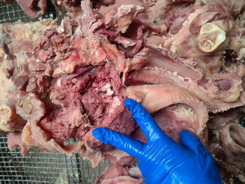 【熟牛头肉】五香去皮牛头肉去油去淋巴纯干无冰