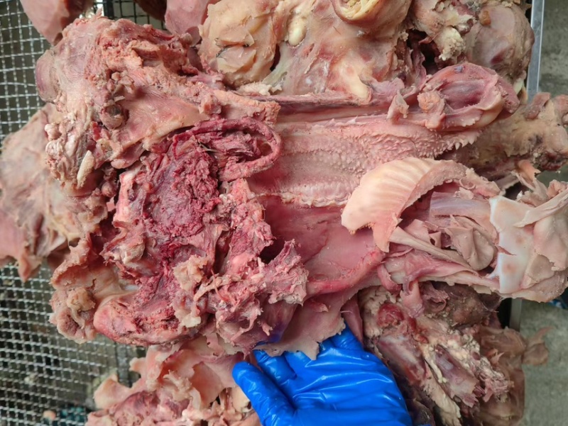【熟牛头肉】五香去皮牛头肉去油去淋巴纯干无冰