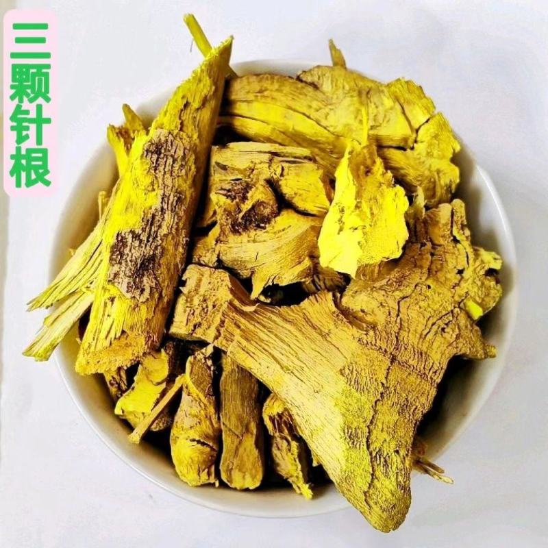 中药材三棵针三颗针根铜针刺新鲜干货三颗针