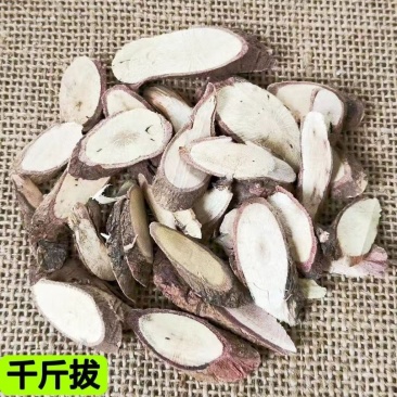 千斤拔中药材广西新鲜干货千斤拔千斤拔一条根片