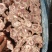 多肉羊蝎子