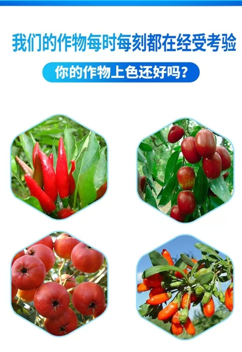 菲利保一喷红含氨基酸水溶肥料转色剂全面快速着色提前上市