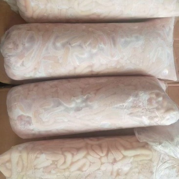 生羊盘肠